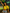 Brasil World Cup 2026 I Home Woman (Cropped) Nike