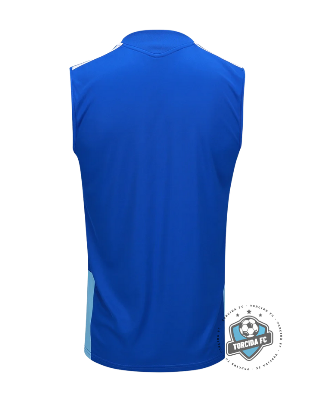 Cruzeiro 26/27 I Training tank top