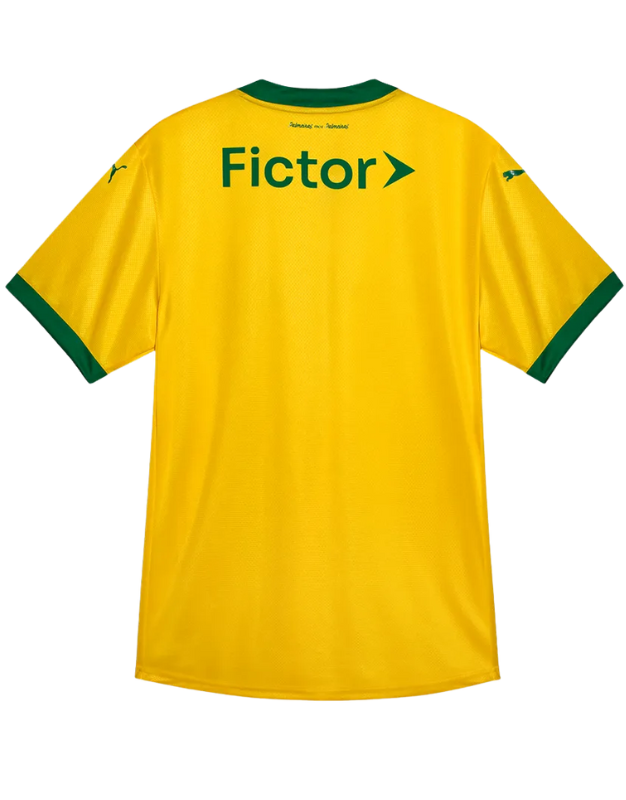 Palmeiras 25/26 I Third