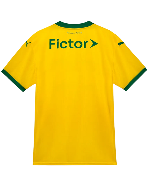 Palmeiras 25/26 I Third