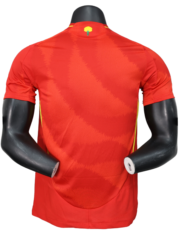 Spain 24/25 Home