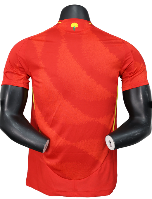 Spain 24/25 Home