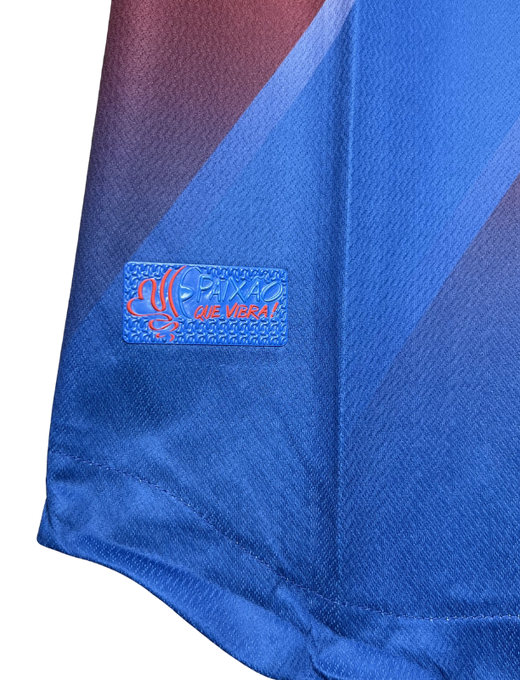 camisa-Bahia-esquadraodeaco-FonteNova-home-i-azul-vermelho-branco-rogerioceni-Esquadrao-torcedor-jogador-24-25-2