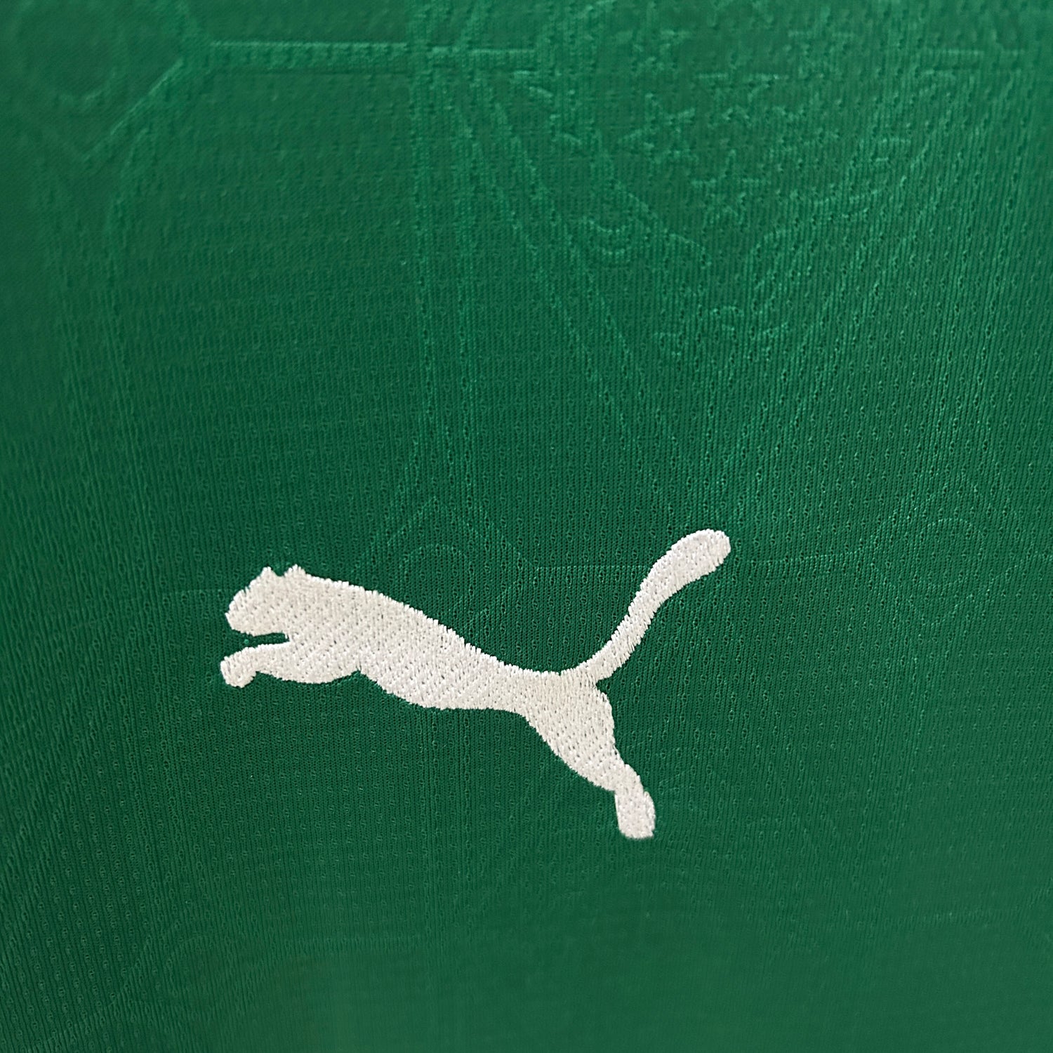 camisa-Palmeiras-home-i-verde-branco-veiga-Estêvão-puma-torcedor-jogador-25-26-4
